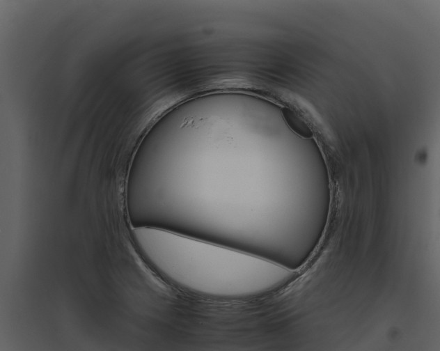 X0000094801225200711160932