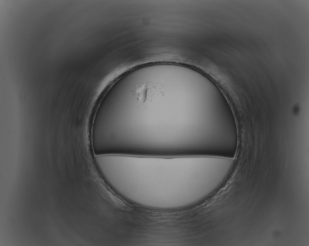 X0000094801230200711160932