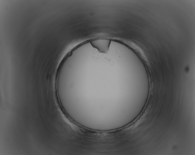 X0000094801231200711160933