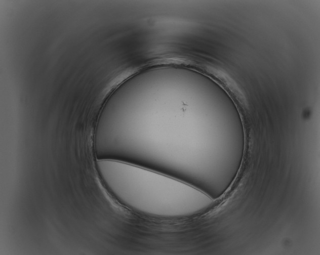X0000094801233200711160933