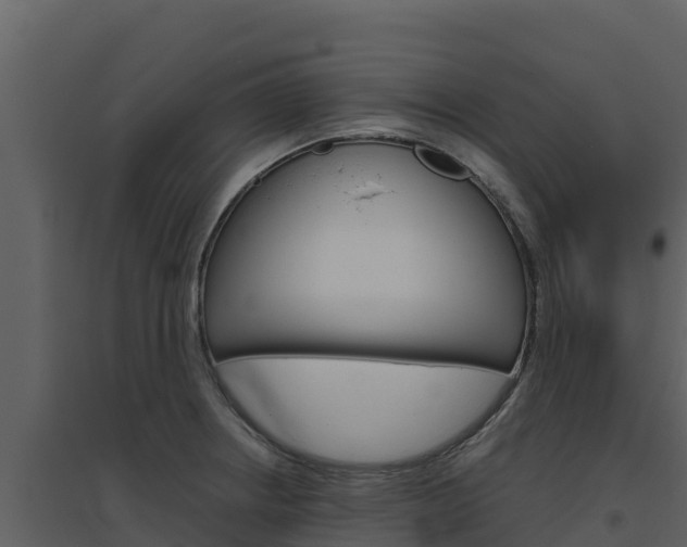X0000094801234200711160933