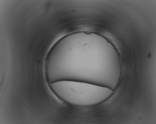 X0000094801235200711160933