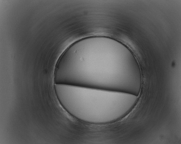 X0000094801236200711160933