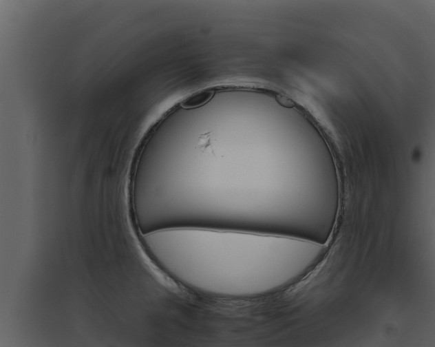 X0000094801237200711160933