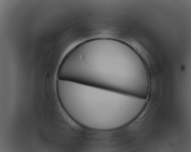 X0000094801238200711160933
