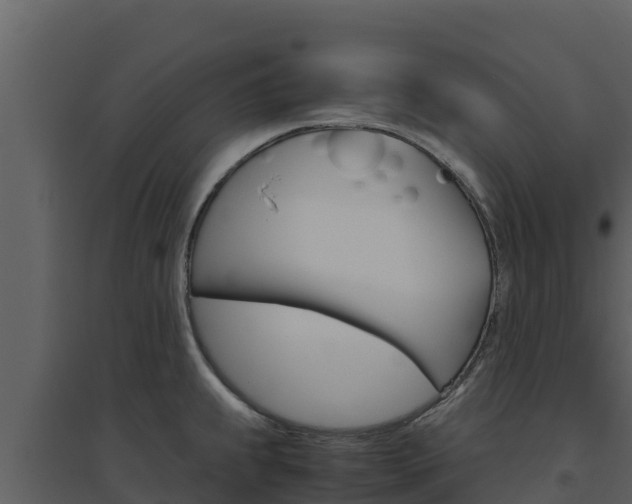 X0000094801239200711160933
