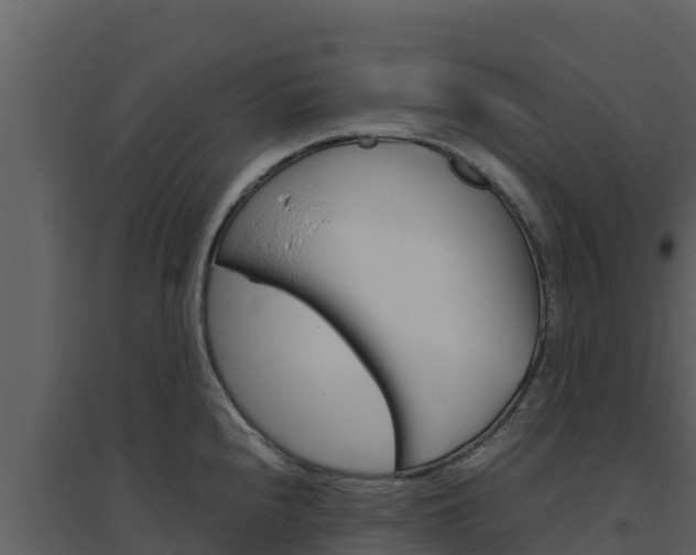 X0000094801240200711160933