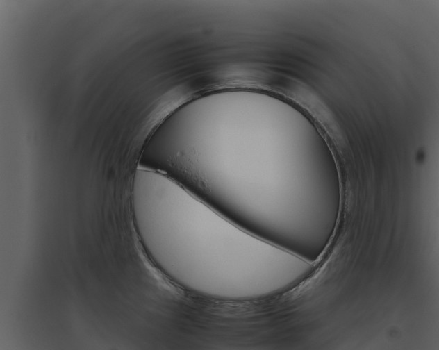 X0000094801241200711160933
