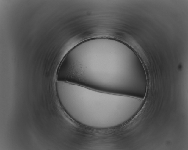 X0000094801242200711160933