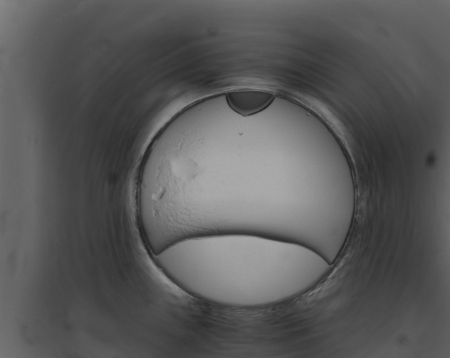 X0000094801243200711160933