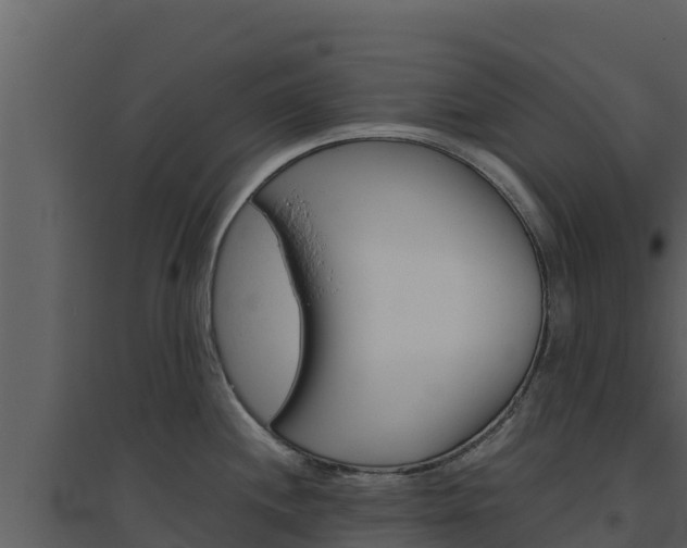 X0000094801244200711160933
