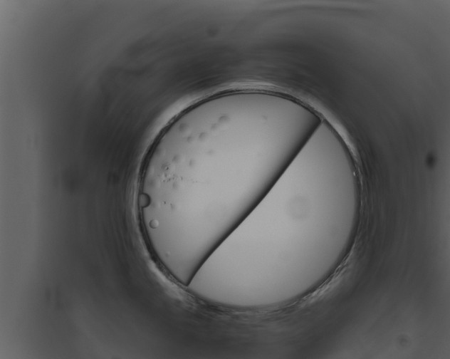 X0000094801245200711160933