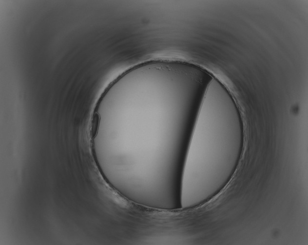 X0000094801248200711160933
