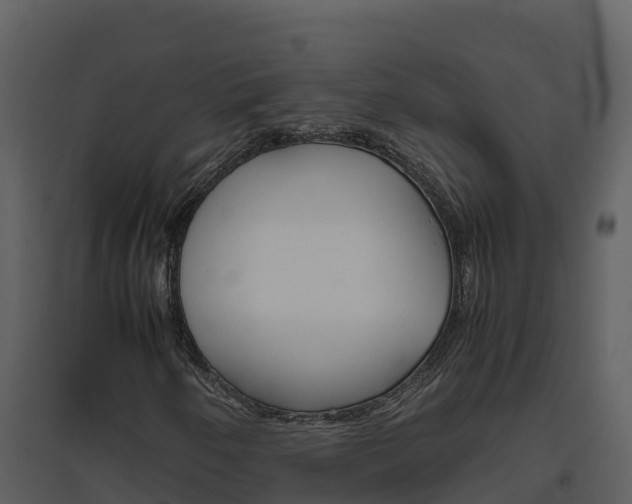 X0000094801250200711160932