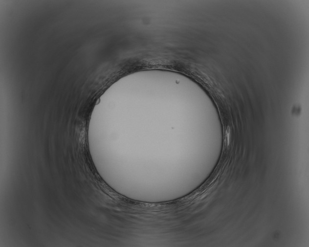 X0000094801251200711160932