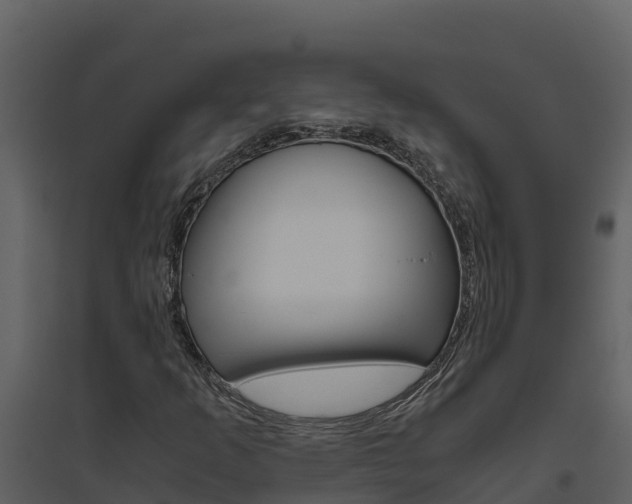 X0000094801253200711160932