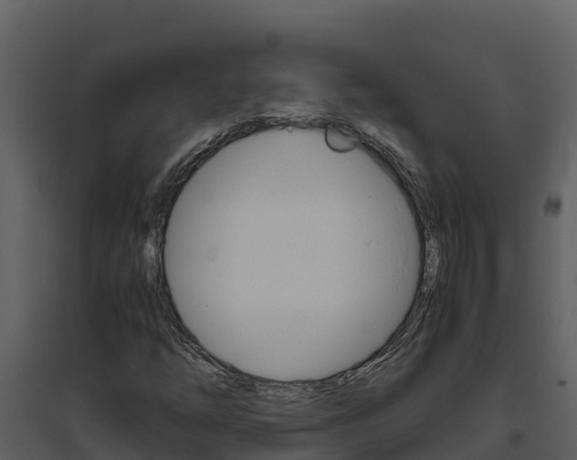 X0000094801254200711160932