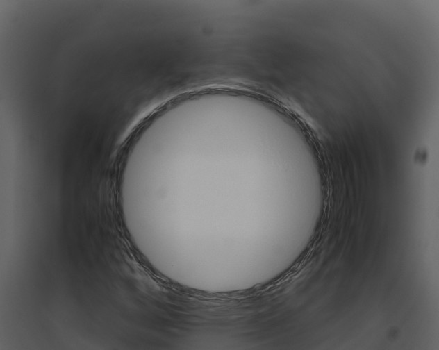 X0000094801256200711160932