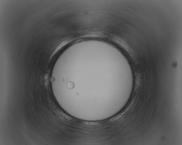 X0000094801258200711160932