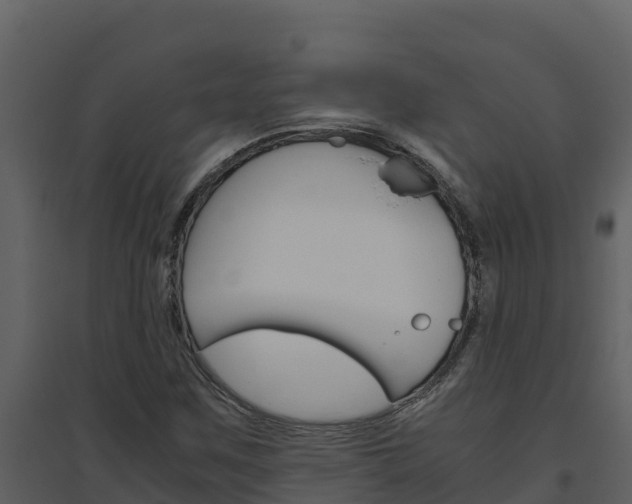 X0000094801259200711160932