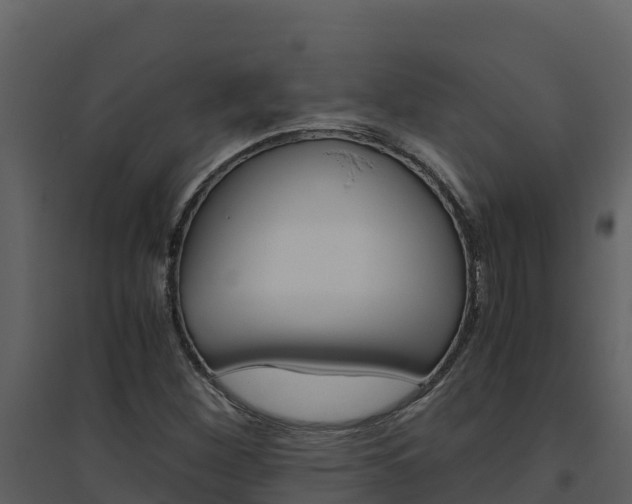 X0000094801260200711160932