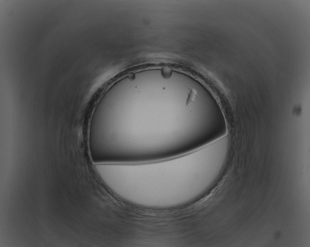 X0000094801261200711160932