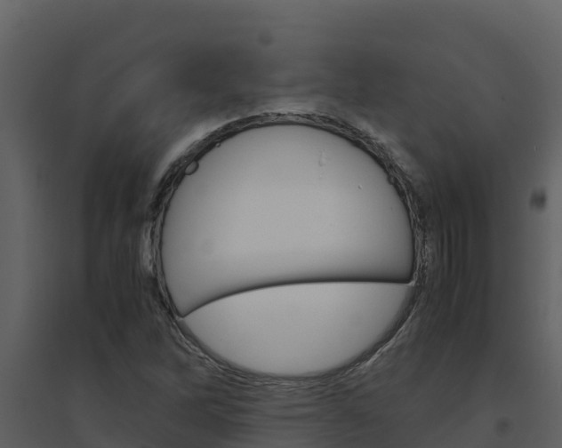 X0000094801262200711160932