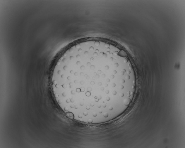 X0000094801263200711160932