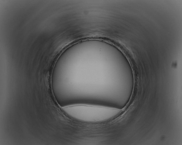 X0000094801265200711160932