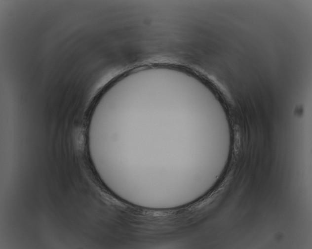 X0000094801266200711160932