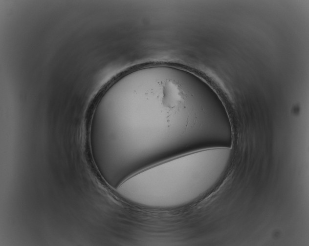 X0000094801270200711160932