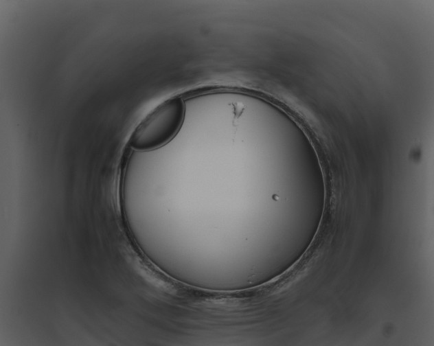 X0000094801272200711160932