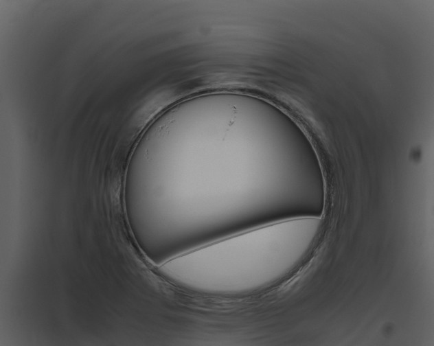 X0000094801273200711160932