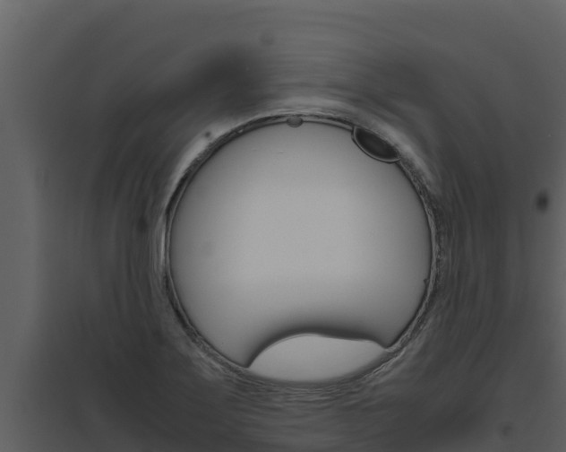 X0000094801275200711160932