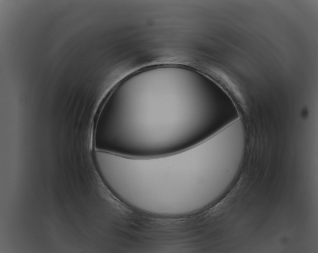 X0000094801276200711160932