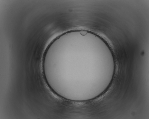 X0000094801278200711160932
