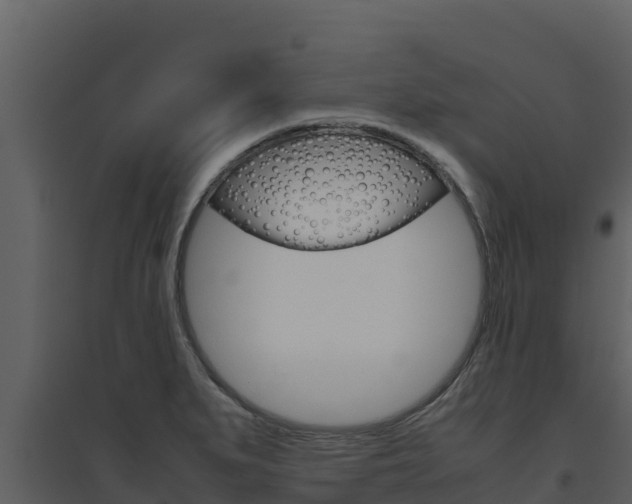 X0000094801279200711160931