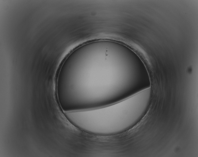 X0000094801280200711160931