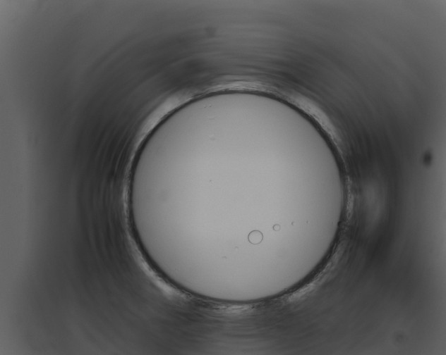 X0000094801282200711160931
