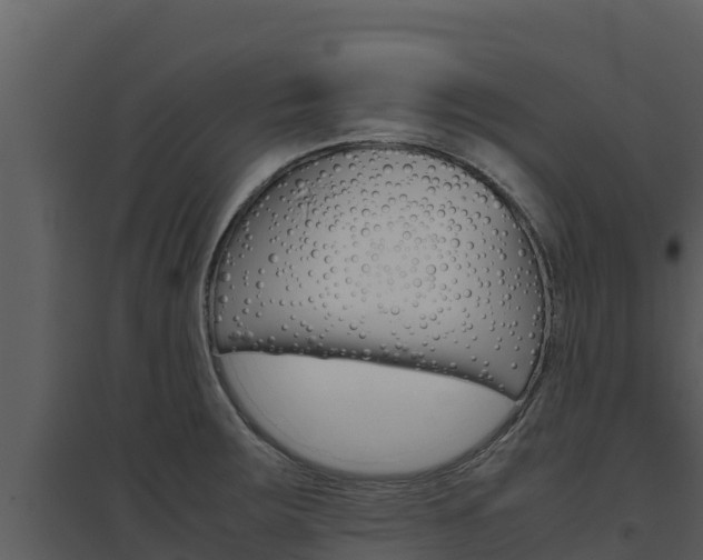 X0000094801283200711160931