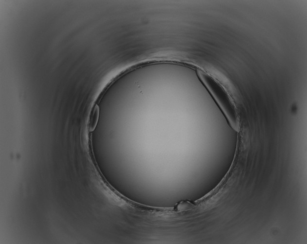 X0000094801288200711160931