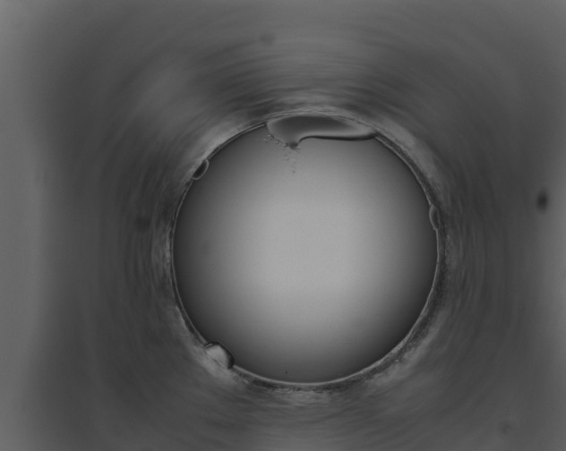 X0000094801289200711160931