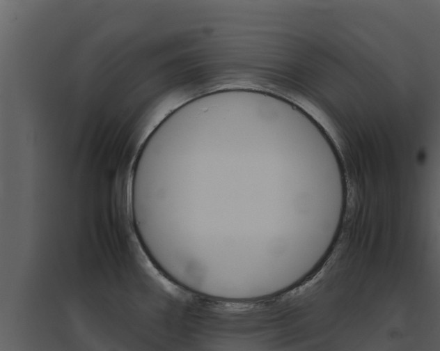 X0000094801290200711160931