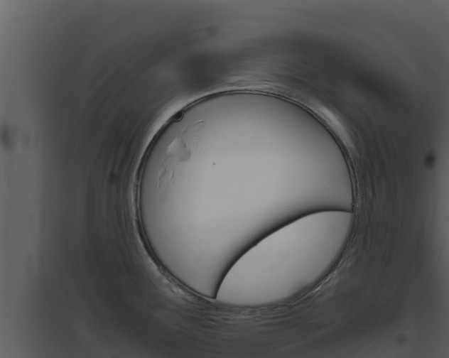 X0000094801291200711160931