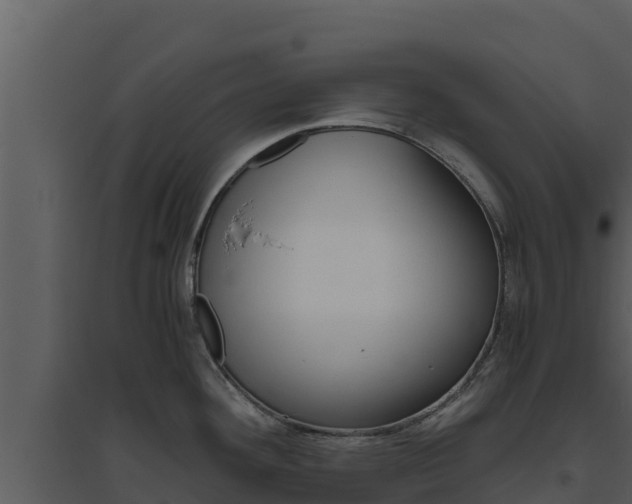 X0000094801292200711160931