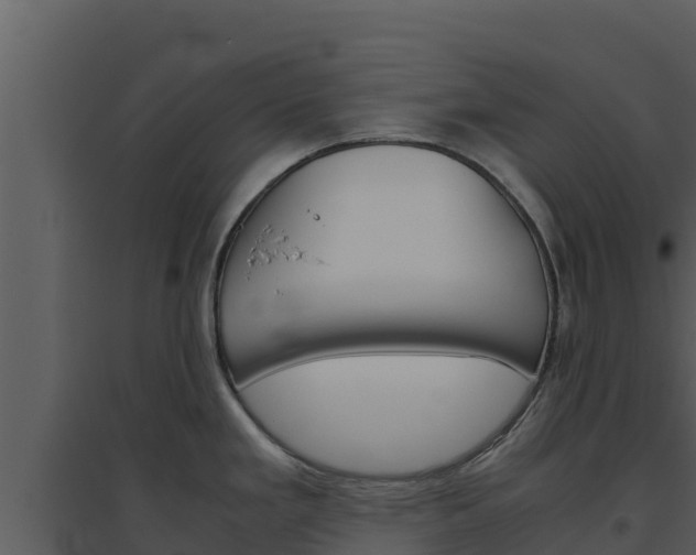 X0000094801293200711160931