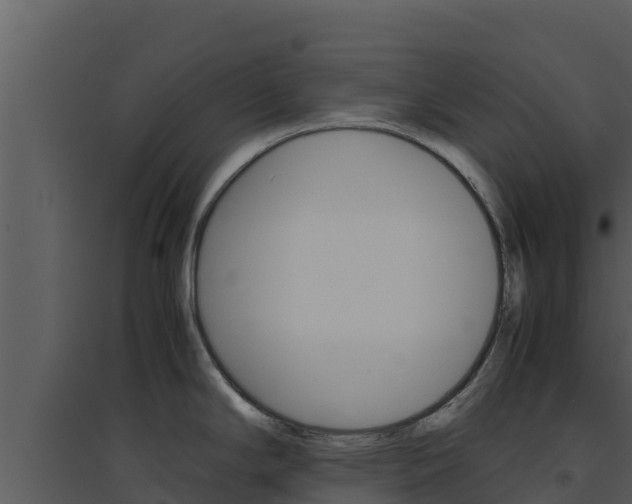 X0000094801294200711160931