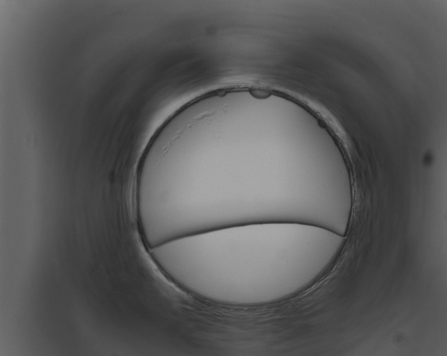 X0000094801295200711160931