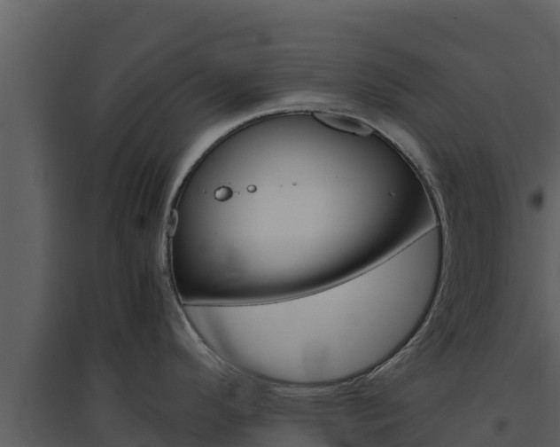 X0000094801296200711160931