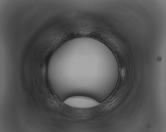 X0000094801299200711160930